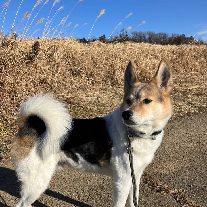 Af9946c0 9f68 4143 b0a5 d53ee425d864 1767259639373