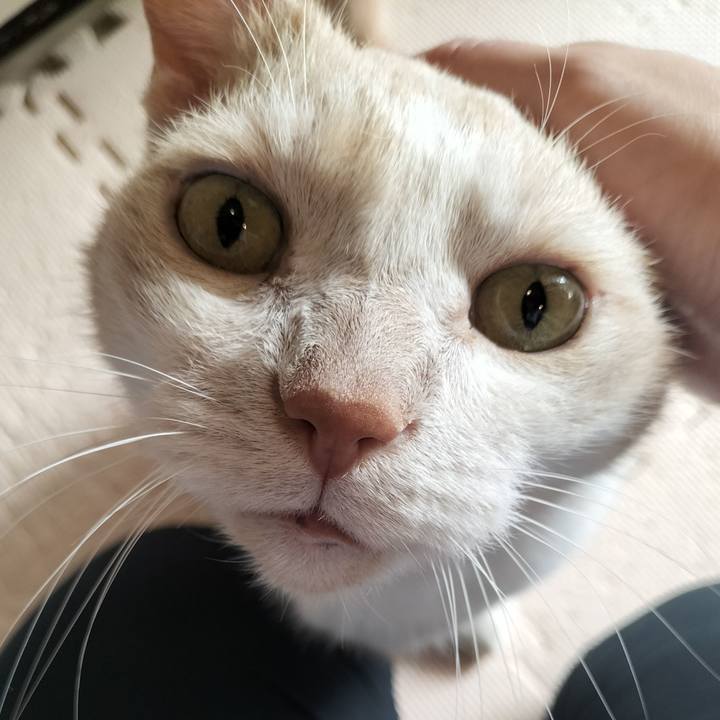 Af9968ab e4df 48f8 bc4f f02c92f2b92b 1658270021122