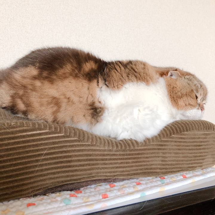 Af997c93 7fe4 493a 8a6c eceef06eba3b 1560633705282