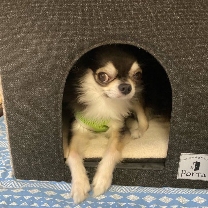 Af99a54a fd81 4dd3 bcd1 be41dd972954 1695047925275