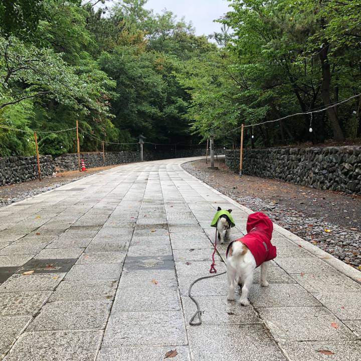 Af99c0e7 af0c 431c ad24 d761a41f5301 1566256330593