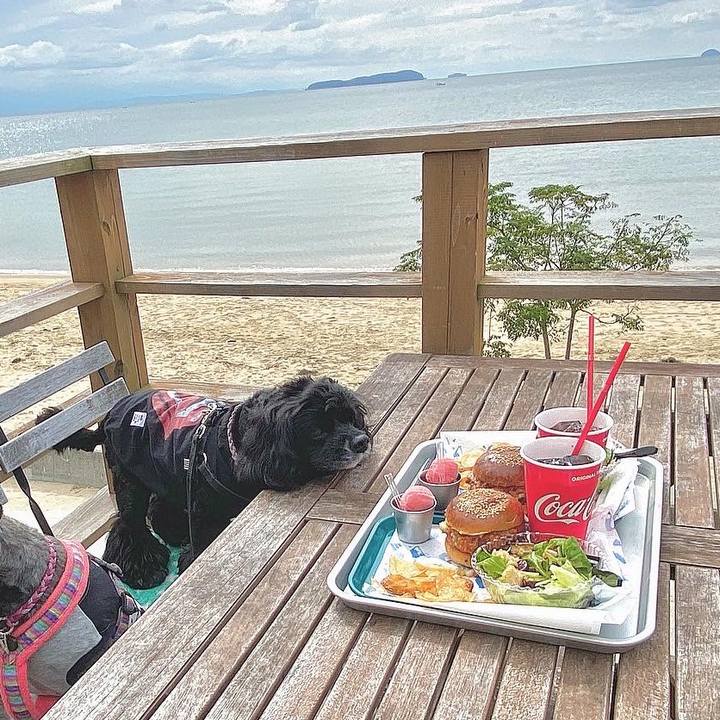 Af99c6d7 b9e4 4fb0 84cf a3cb8b4bba2a 1665575157541