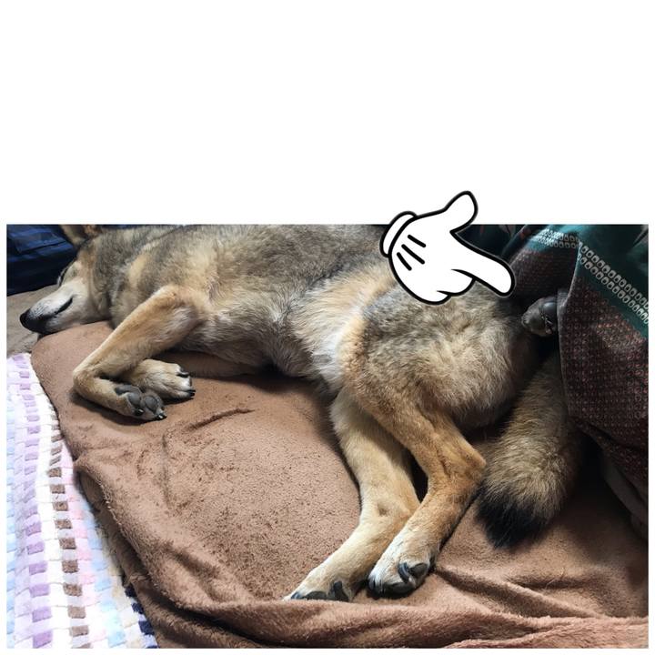 Af99c997 d96d 4e27 ab42 febae29b7f21 1556103205060