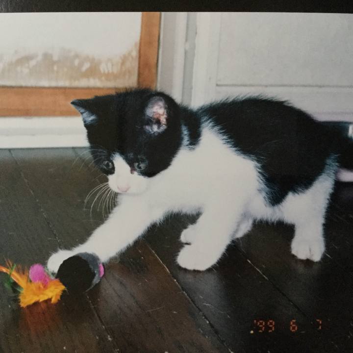 Af99d866 d11c 4581 af50 936abfc123be 1515285585190