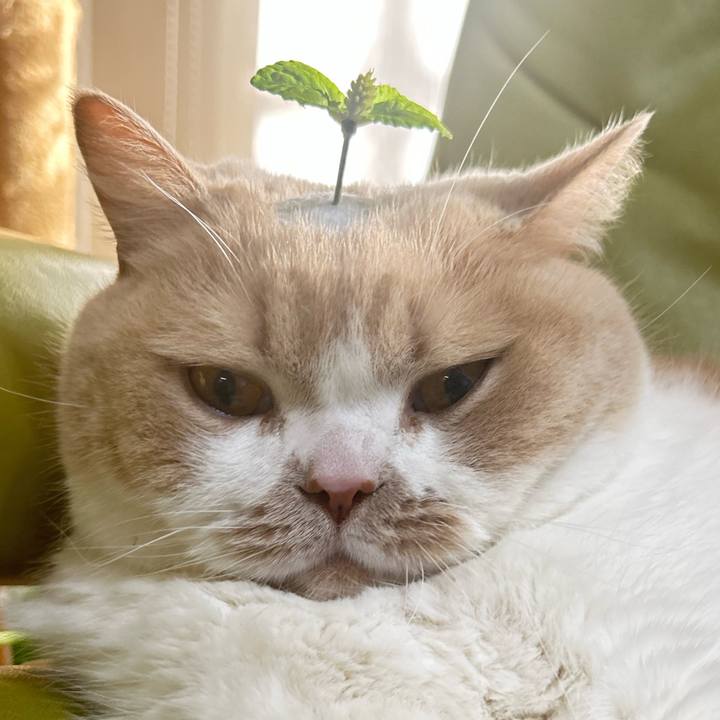 Af9a05de 4a98 4991 bf13 95a8b188b803 1741406656275