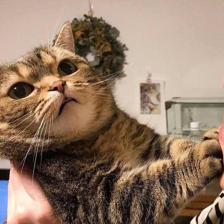 Af9a1861 d457 4c5d b2c6 e2cc1fc6b04b 1523843542898