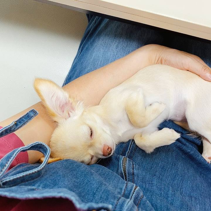 Af9a3611 0678 4494 8f45 4e67d861b0b6 1595561593799