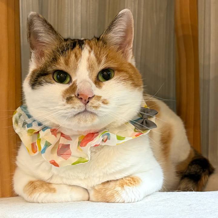 Af9a4b5e d1f8 4b9b 9ff2 12eb280d09fd 1768824151421