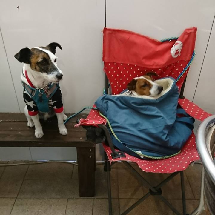 Af9a5289 2f8c 498c a965 b3adc5091a0b 1609151014193