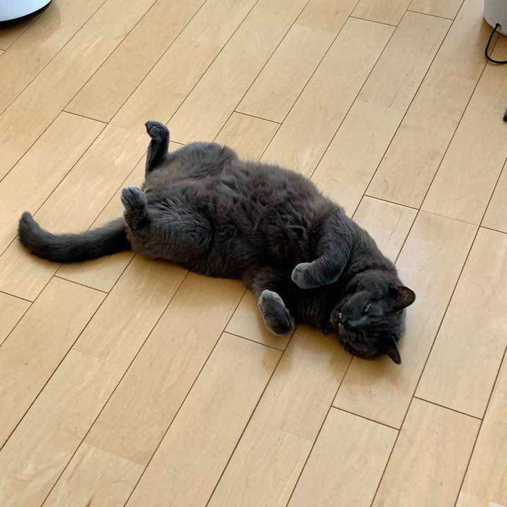 Af9b0ead d7e9 41a3 a660 46bcfb87c965 1719628699267