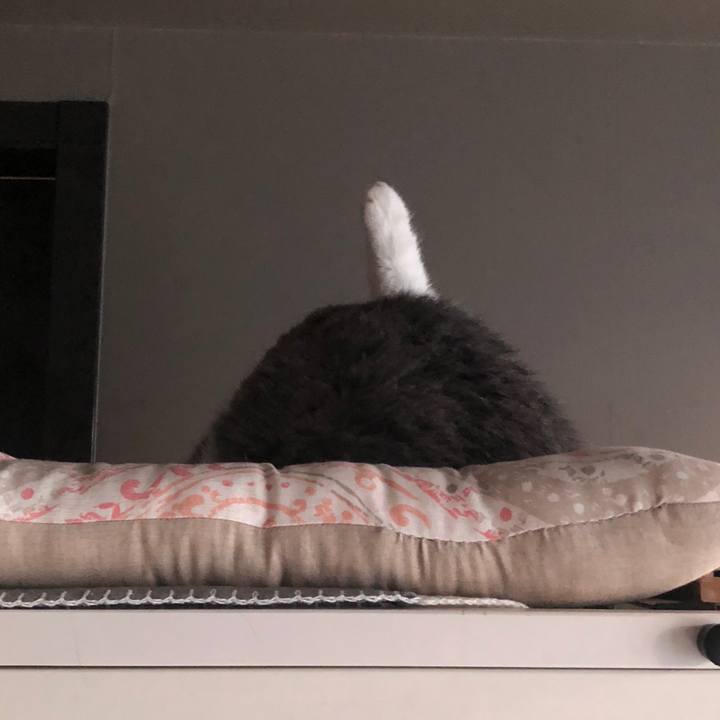 Af9b140f a8df 44a2 83d2 2d66c7b74ac2 1538129619861