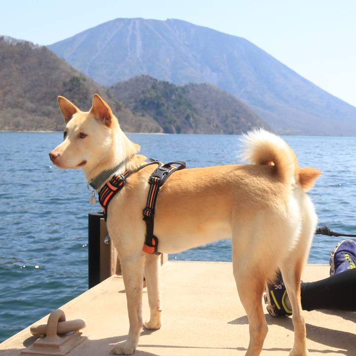 Af9b30b5 43dc 49de 868f eff3841bd2c9 1525166642598