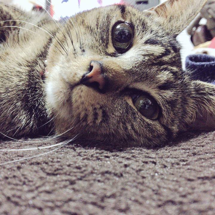 Af9b56b2 802b 4ee0 8da5 6679a83a7035 1514817508597