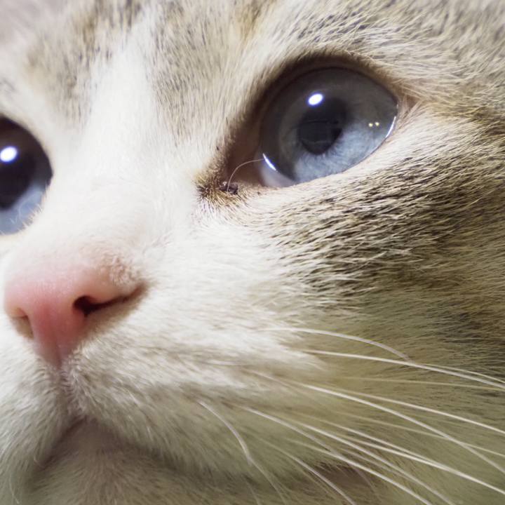 Af9b7e6f 564b 41d6 bb5f 53a13fa34843 1622285171758