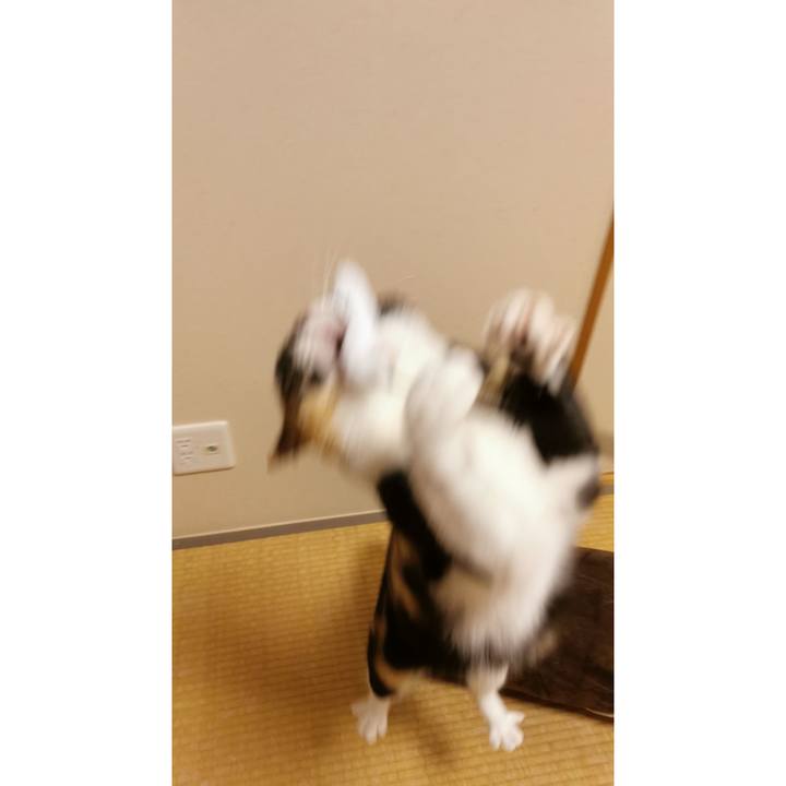 Af9b8656 3682 4cfe a138 437584ba7e68 1651645740004