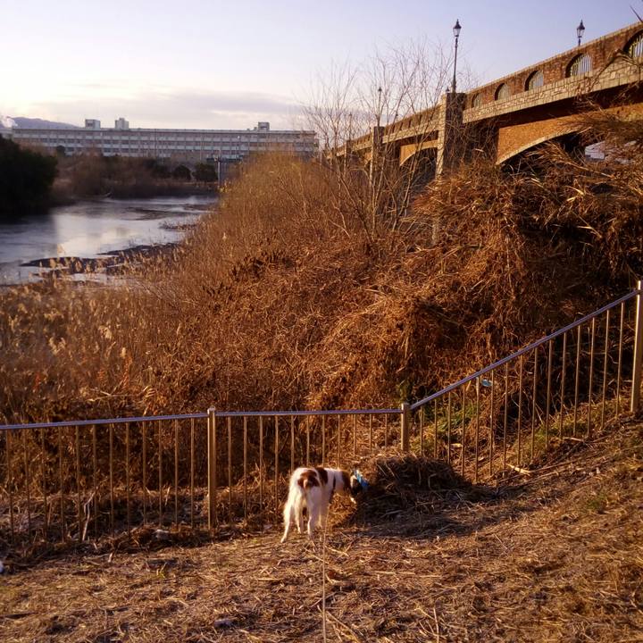 Af9b9a93 2d42 4c4b be7b 2de68710b7d4 1518047458523