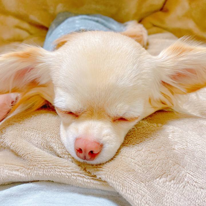 Af9bb42a b0db 4d70 8602 68427e847c0c 1642338062589