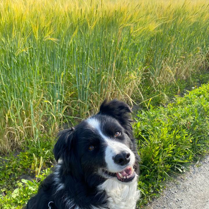 Af9bf0d4 0bbe 4cbf 8dfa b720bc5b31e3 1619479567188