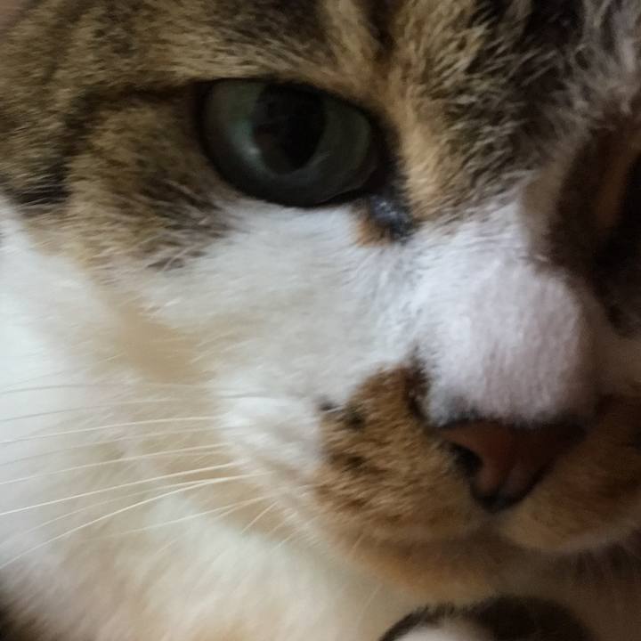 Af9c0f81 6e7c 4bdf 8912 601ddd11438b 1537139933828