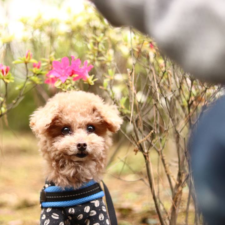 Af9c548f 7f4f 4ec5 86af ca34b44201ff 1667731582588