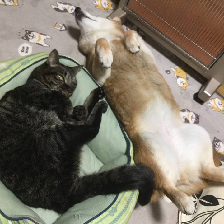 Af9c568f 04d8 43e1 b9c7 1525c88f6b66 1614690845241