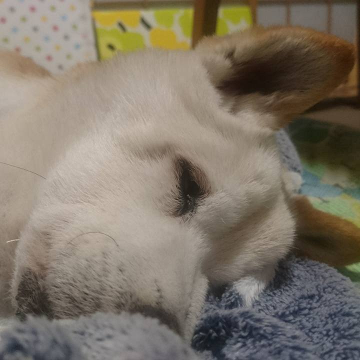 Af9cae0e 7cb5 4902 9ede b79b16889f57 1524751233838