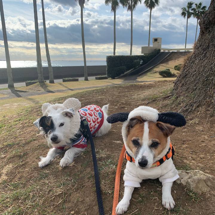 Af9cbc40 d124 436f af2a 5de6326033d5 1608344236870