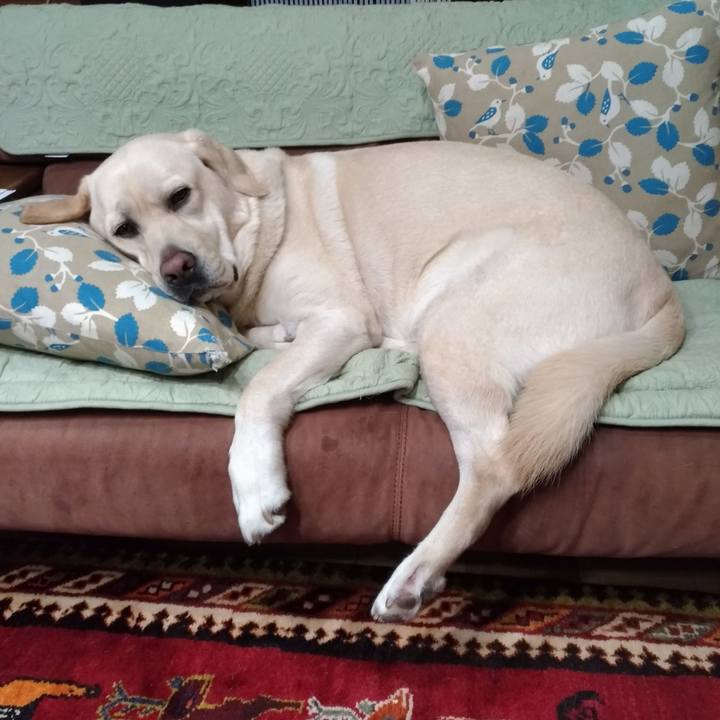 Af9cd903 ae59 4107 934c d0a36e989404 1570353848216