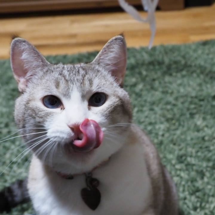 Af9ce567 dd1d 4ec4 ba72 e5afec17f656 1601121411329