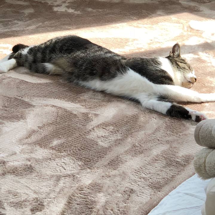 Af9d1094 fa9d 4c86 89a6 659496d5c7dd 1523573946024