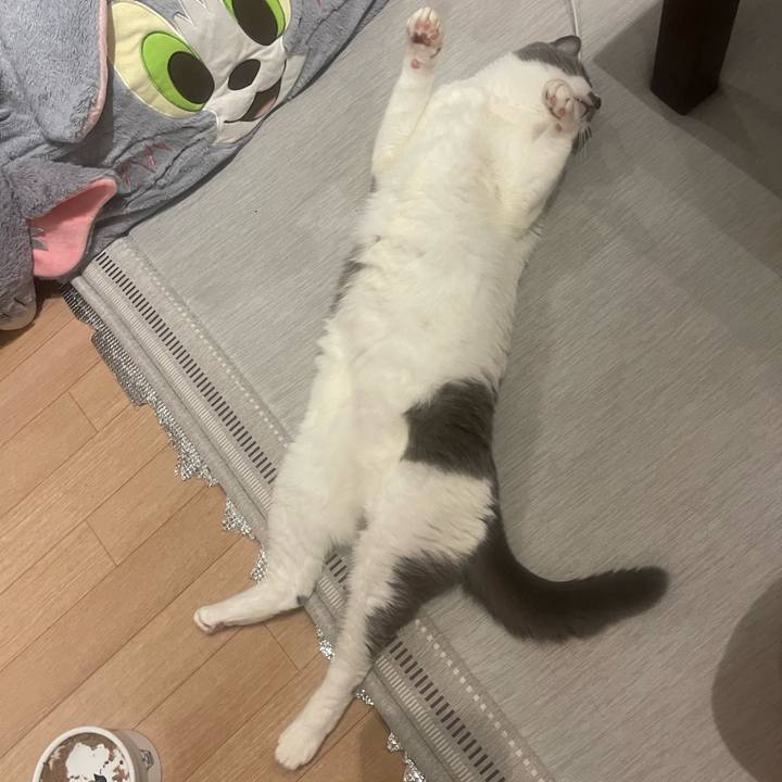 Af9d144f dea9 4af0 bd60 66471085cf44 1759167145627