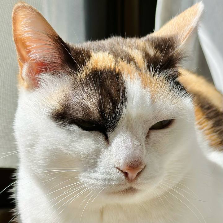 Af9d25b3 2ee1 4247 9ded 47a99c8ea655 1683338614239