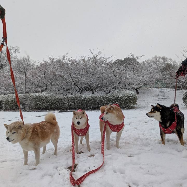 Af9d4571 96f0 478a 8fb3 9e2ed8be8d6a 1770524183423