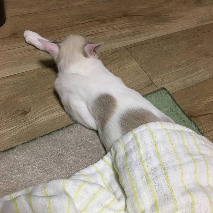 Af9d62fc 6ff7 456c a37f 4e669b5149f7 1537625417867