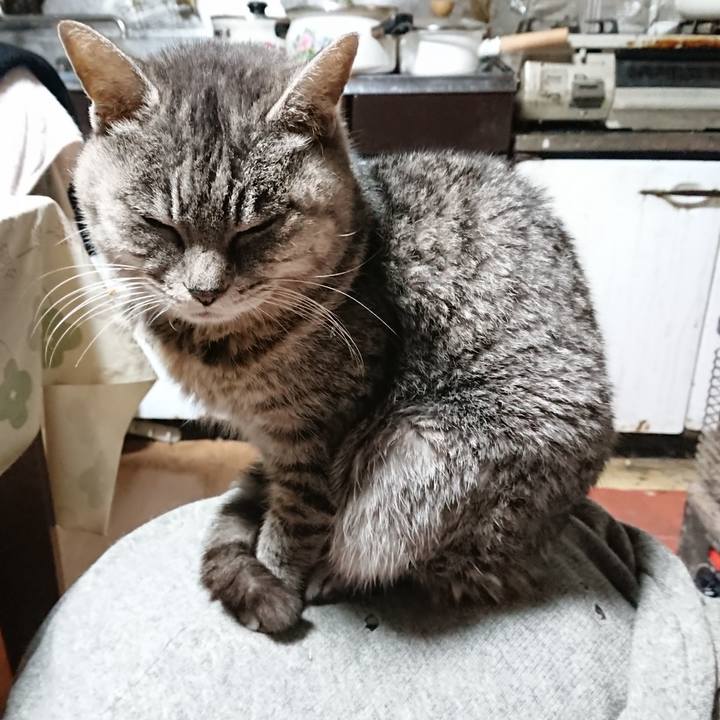 Af9d63cc 320d 4d72 8a42 92bbb92226b3 1577043821366