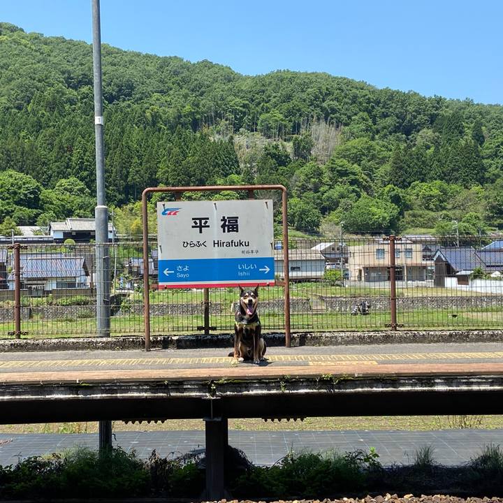 Af9d6500 9789 4ef6 8ce8 72327448d94c 1621767082245