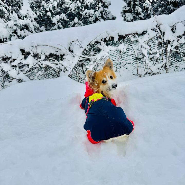 Af9d6bf3 9795 477a 8751 860b9f1b1cbb 1763518920316