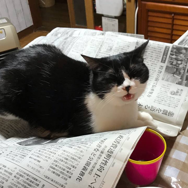 Af9da9de 130f 4db0 b342 9330e729c907 1552472732934