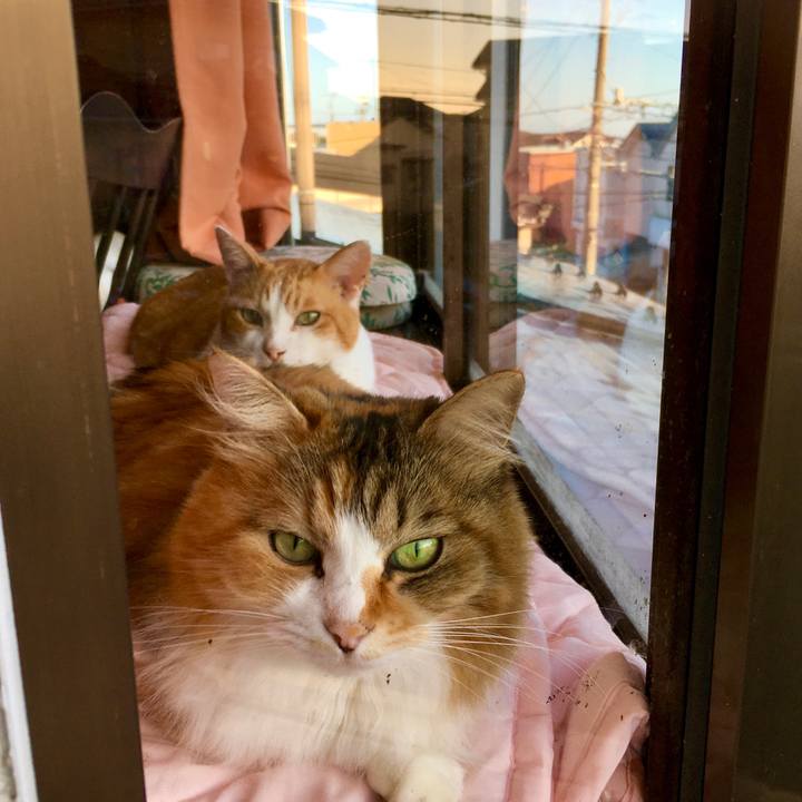 Af9db303 9d3a 4d7c bfc9 3ba2c934f173 1571021936197