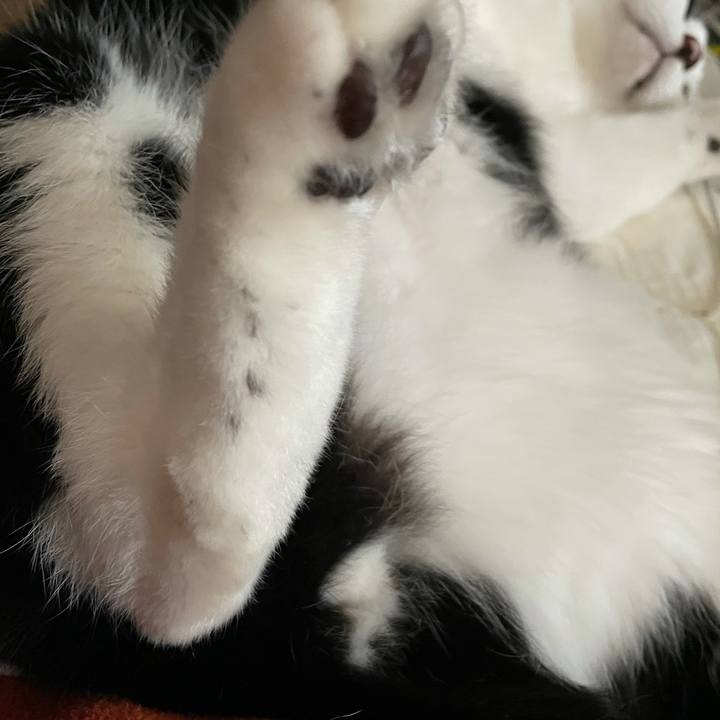 Af9df890 06b0 4044 b437 aa6133eb92c5 1622063350384