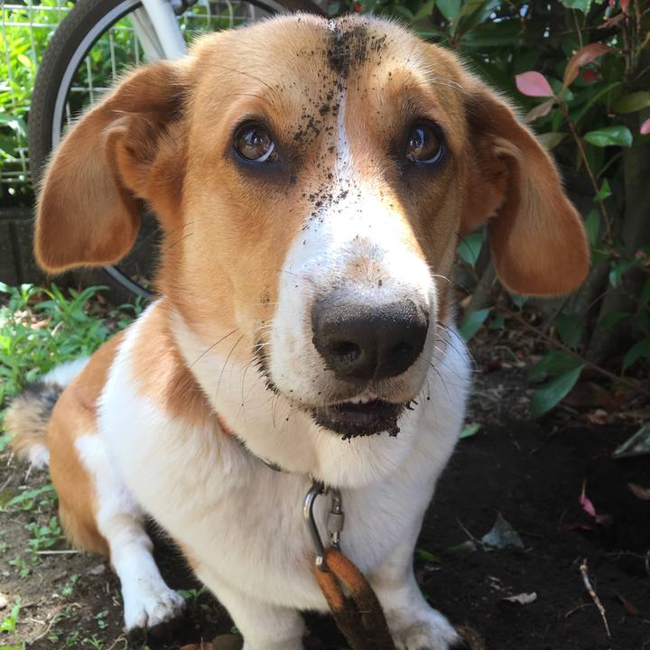 Af9e0fc1 2dff 4d49 a847 d4bfbb02a082 1620608979931