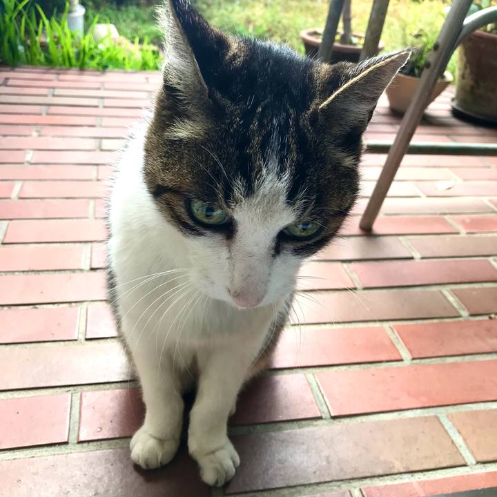 Af9e2e66 72e9 48d6 85f3 f2b4f68c5edd 1605762291940