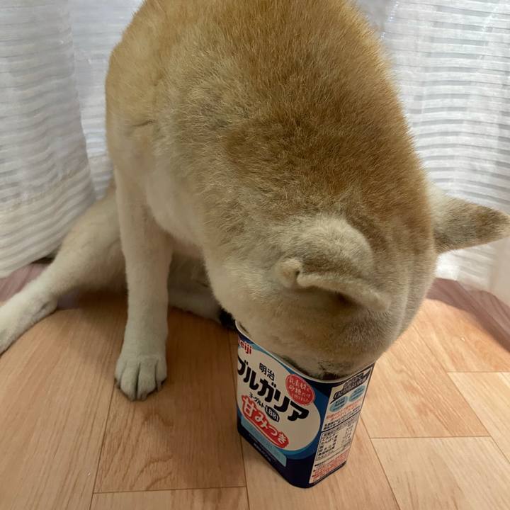 Af9e63e2 d092 44a3 b573 11d23464f700 1637470759220