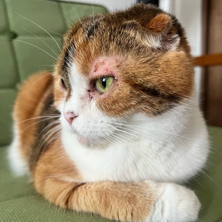 Af9e6be8 a91b 43ba 9e8c 49ba3b0c2480 1695699959625