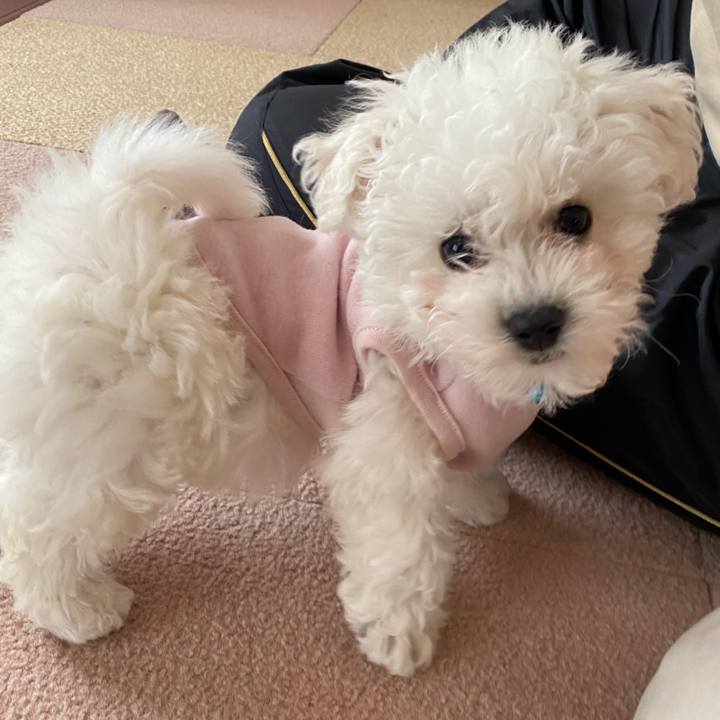 Af9e8c25 0df5 4bcb ae26 1d89a4306a4a 1740892315549