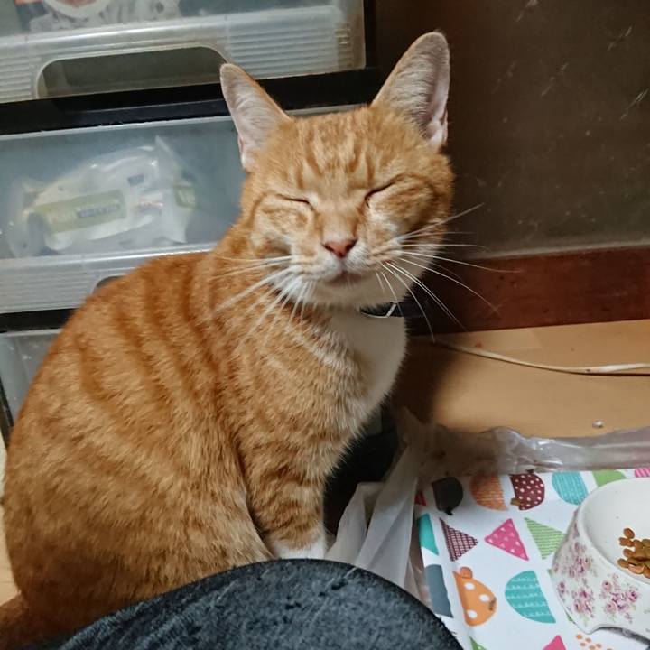 Af9eb5ab 8bdb 4dbf a401 84988c7b1e63 1601631414370