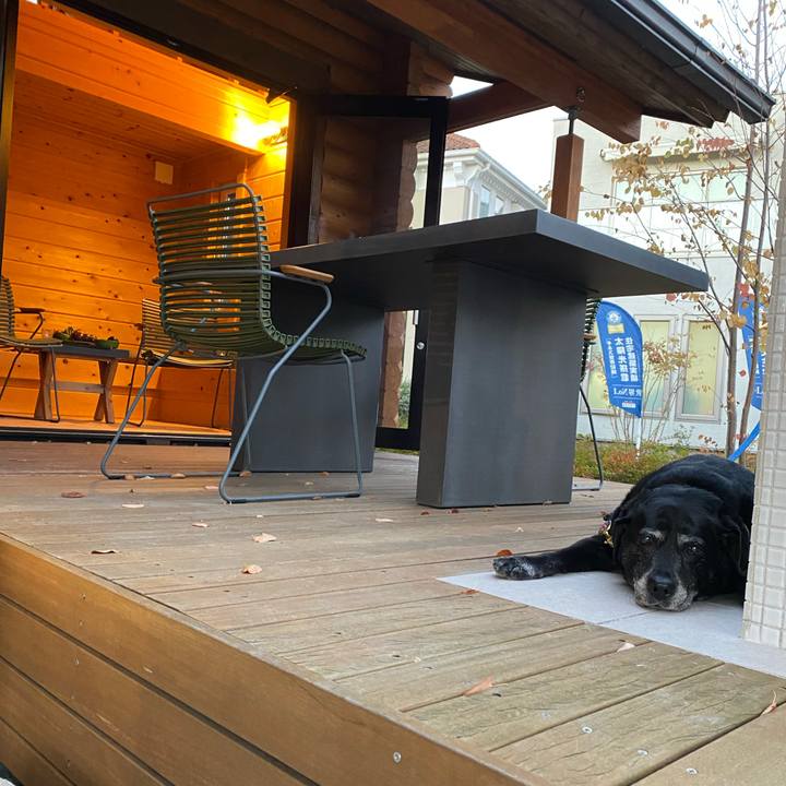 Af9eca4e f4f7 42c0 b689 5d0dead6fba5 1667610686322