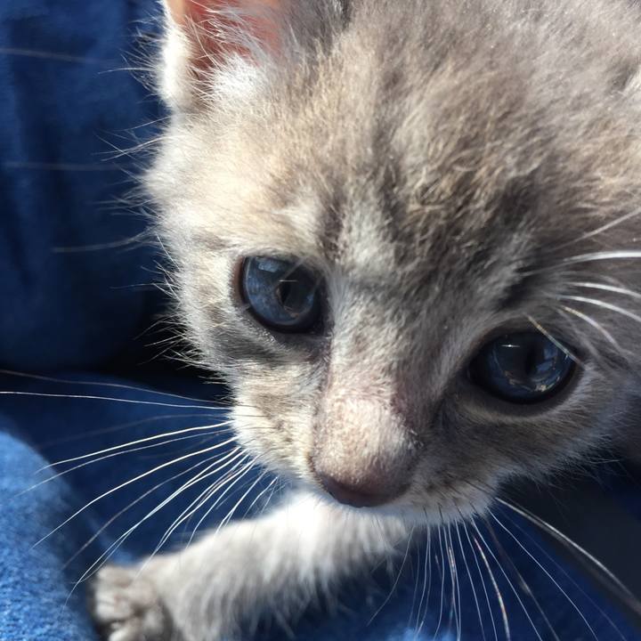 Af9eec55 90c4 4e2d b27e bab316c16e83 1571033770484