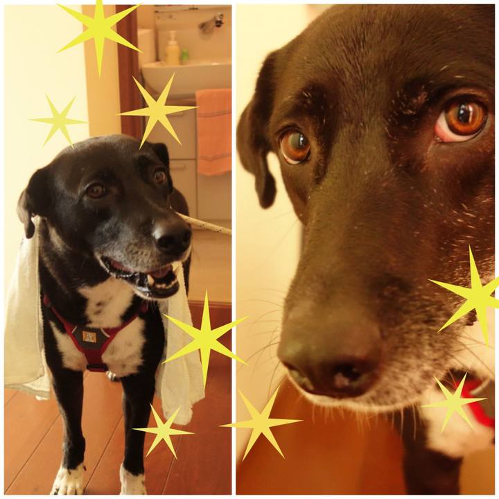 Af9ef974 3128 42da 9bbd 872a2f91dcb1 1670120519750