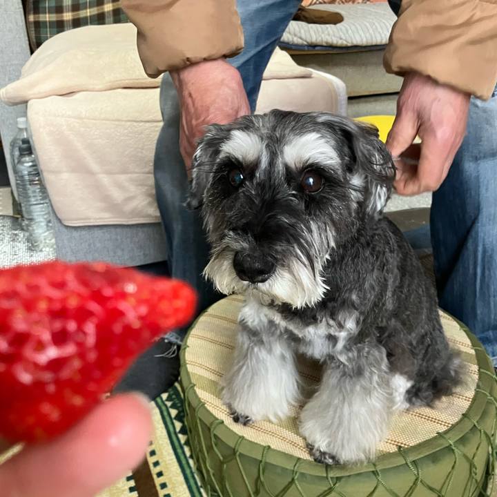 Af9f0870 2e55 4537 be3c b8ea1485e5f6 1744280213660